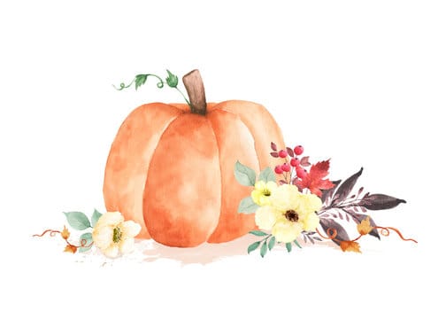 Harvest Night