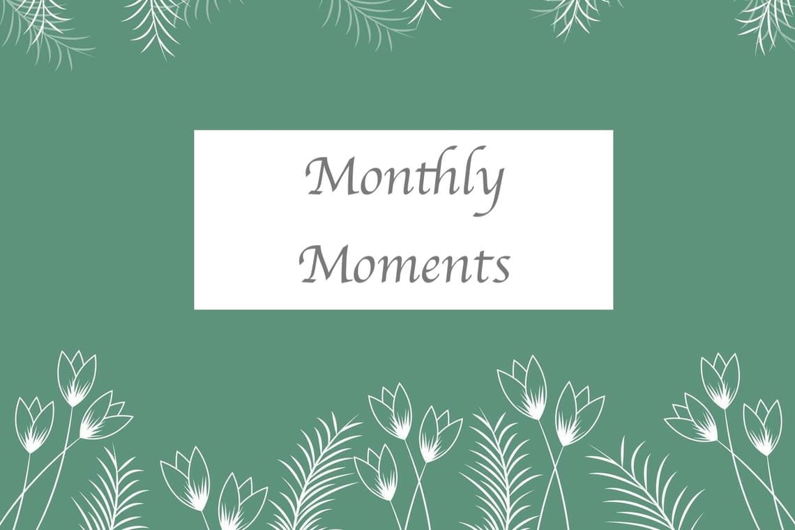 Monthly Moments - November 2025