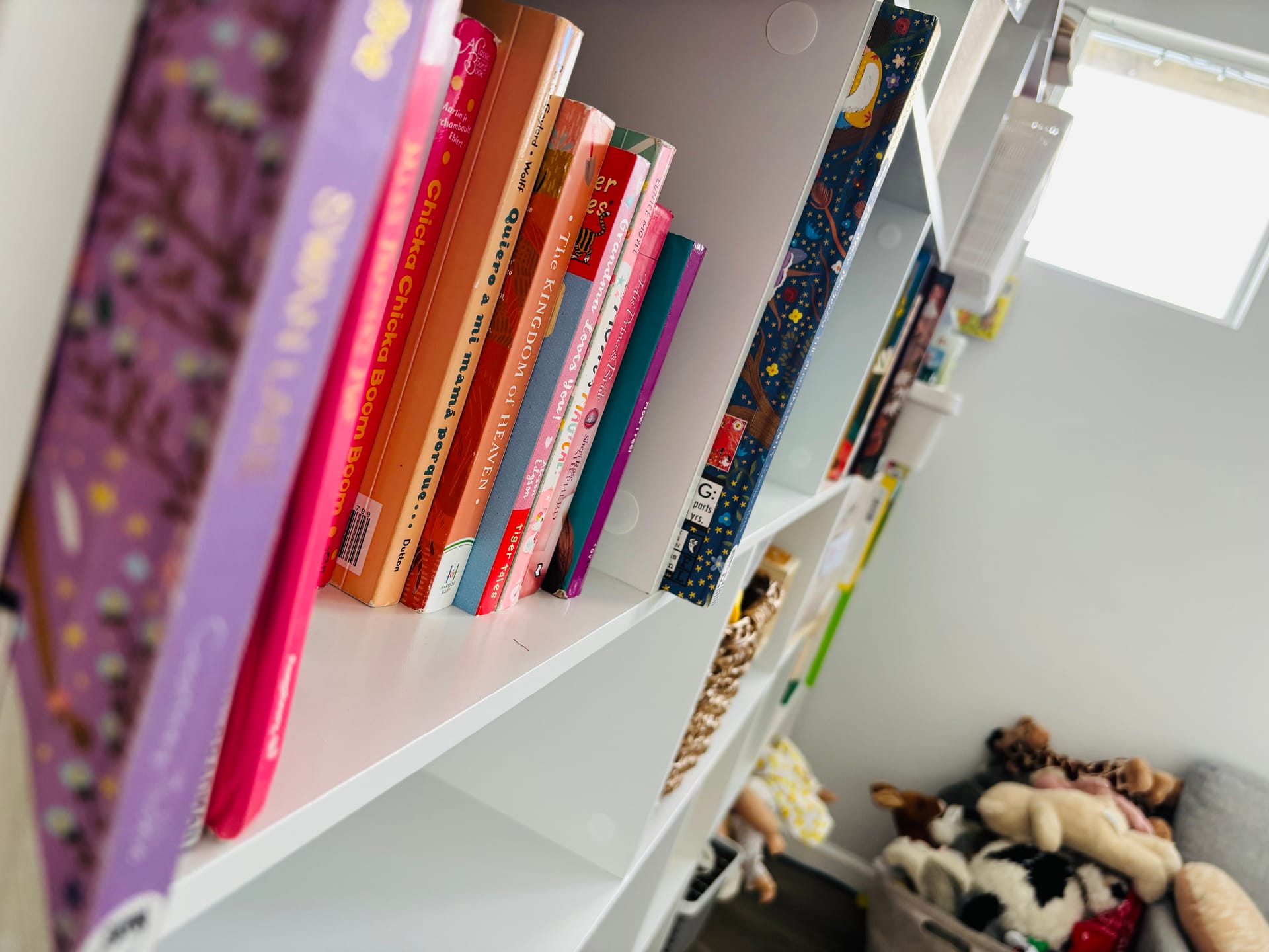 Organizational Projects - Toy Storage